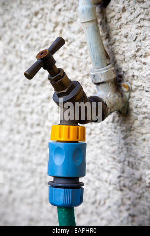 Outdoor garden tap mounted on a white painted wall with a plastic hose pipe attachment connected Stock Photo