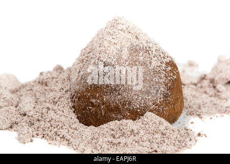 Chocolate truffle candy in cappuccino powder with white background Stock Photo