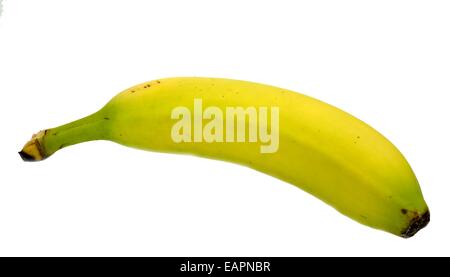 A single banana on a white background. Stock Photo
