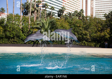 siegfried and roys secret garden and dolphin habitat at mirage hotel las vegas - Secret Garden Las Vegas siegfried and roys secret garden and dolphin habitat at mirage hotel las vegas - Secret Garden Las Vegas