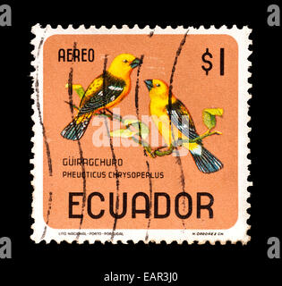 Postage stamp from Ecuador depicting  Mexican yellow grosbeak  (Pheucticus chrysopeplus) Stock Photo