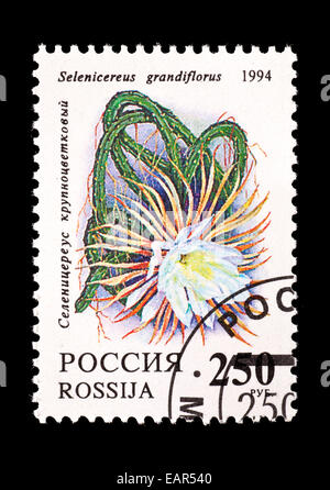 Postage stamp from Russia depicting a Nightblooming Cereus flower (Selenicereus grandflorus) Stock Photo