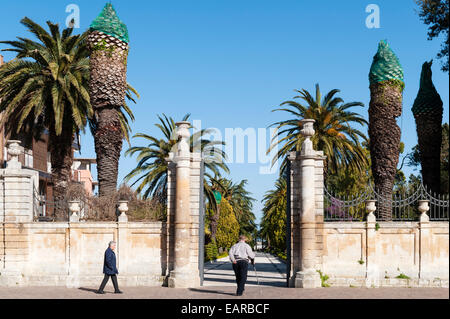 The entrance to the public gardens in Palazzolo Acreide, southern Sicily, Italy. Palm trees netted to protect them from attack by Red Palm Weevil Stock Photo