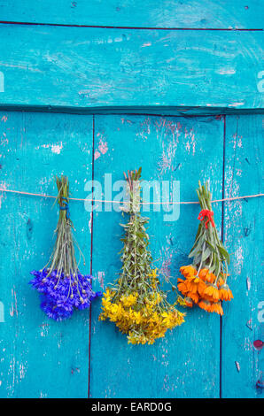 three medical herbs flower bunch on old wooden door. Cornflower, marigold and st Johns wort Stock Photo