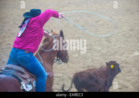 Cowgirl Participating in a Calf roping Competition at the Indian