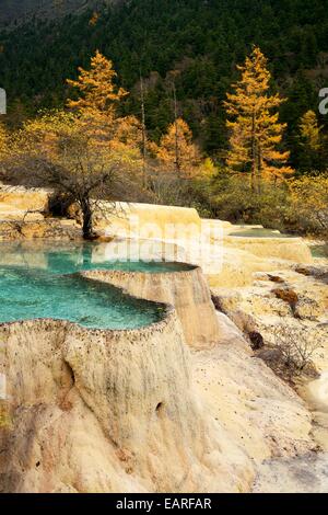 Lime terraces with lakes in autumnal environment, Huanglong National Park, Sichuan Province, China Stock Photo