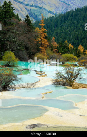 Lime terraces with lakes in autumnal environment, Huanglong National Park, Sichuan Province, China Stock Photo