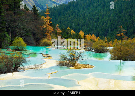 Lime terraces with lakes in autumnal environment, Huanglong National Park, Sichuan Province, China Stock Photo