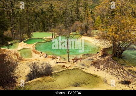 Lime terraces with lakes in autumnal environment, Huanglong National Park, Sichuan Province, China Stock Photo
