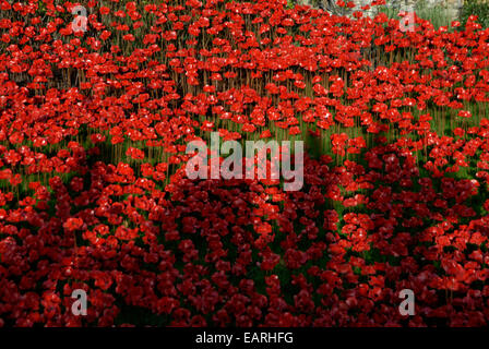 Shadows of viewers on some of the 888,246 ceramic poppies from the moat  at The Tower of London art installation. Stock Photo