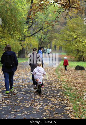 Girl walking on the wet road among an autumn forest covered with yellow leaves Stock Photo