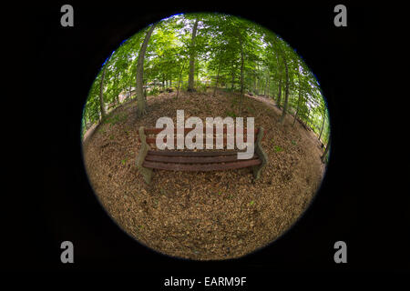 Park Bench In Forest Stock Photo