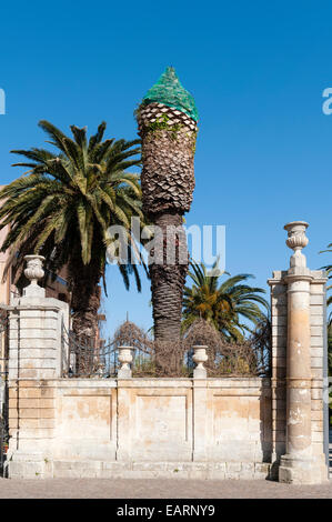 The entrance to the public gardens in Palazzolo Acreide, southern Sicily, Italy. Palm trees netted to protect them from attack by Red Palm Weevil Stock Photo