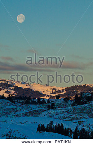 A full moon hangs over a winter landscape at sunrise. Stock Photo