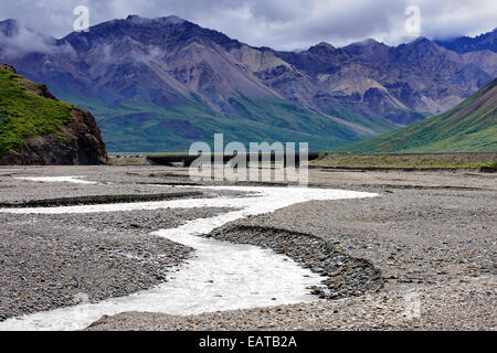 Big river reduced to small meander creek in the summer at Denali - Alaska. Stock Photo