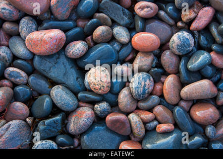Close up of wet colourful pebbles on shingle beach at low tide Stock Photo