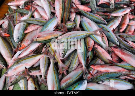 Fish or wet market in Kota Kinabulu, capital of Sabah. Stock Photo