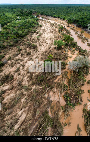 A flooded river carves it's way through a forest causing devastation. Stock Photo