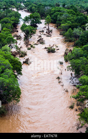 A flooded river carves its way through a dense savannah forest. Stock Photo