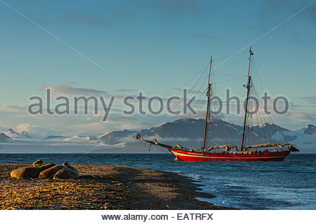 A tall-masted schooner, the Northern Light, anchored off a beach. Stock Photo