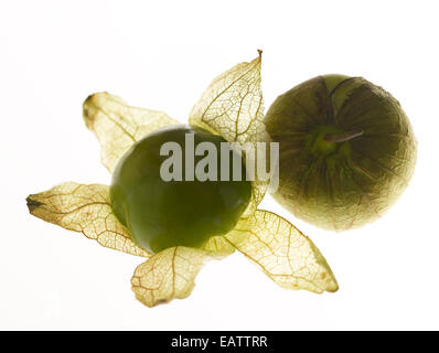 Tomatillos on a white background Stock Photo