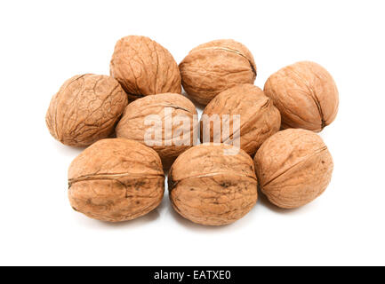 Walnuts in shells, isolated on a white background Stock Photo
