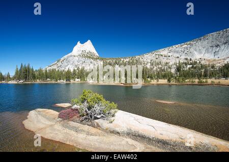 Sunset with Cathedral Peak reflecting in Upper Cathedral Lake in Yosemite National Park Stock Photo