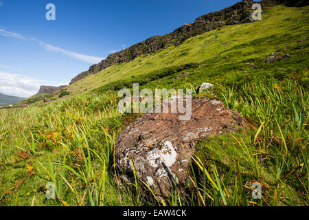 A boulder on a slope above Loch Na Keal on the West of the Isle of Mull, Scotland, UK. Stock Photo