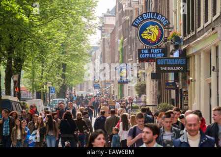 Crowds on the Oudezijds Voorburgwal in the Red Light District, Amsterdam, North Holland, Netherlands Stock Photo