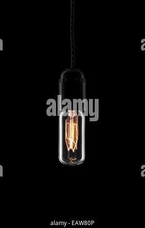 Beautiful vintage style lightbulb turned on Stock Photo