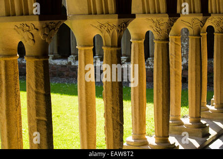 Sandstone pillars in Iona Abbey on Iona, off Mull, Scotland, UK. Stock Photo