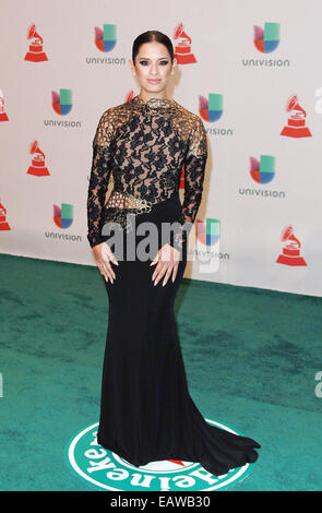 Las Vegas, Nevada, USA. 20th Nov, 2014. TV personality Rocsi Diaz attends the 2014 Latin Grammy Awards on November 20, 2014 at MGM Grand Arena in Las Vegas, Nevada Credit:  Marcel Thomas/ZUMA Wire/Alamy Live News Stock Photo