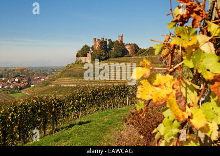 Castle Ortenberg near Offenburg, Black Forest, Baden-Württemberg, Germany Stock Photo