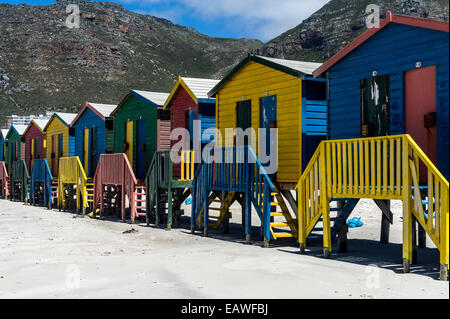 Brightly painted bathing boxes on stilts on the beach in summer.