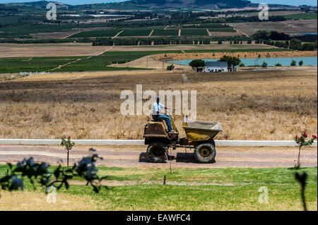 A small tractor used for chores on a winery vineyard. Stock Photo