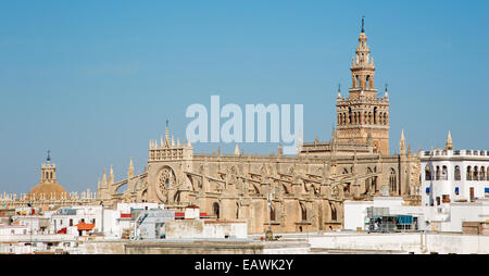 Seville - Cathedral de Santa Maria de la Sede from Torre del Oro. Stock Photo