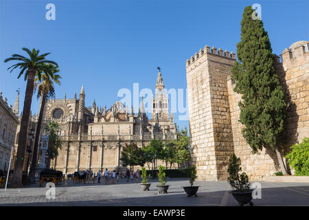 SEVILLE, SPAIN - OCTOBER 28, 2014: Cathedral de Santa Maria de la Sede with the Giralda bell tower and walls of Alcazar. Stock Photo