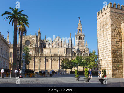 SEVILLE, SPAIN - OCTOBER 28, 2014: Cathedral de Santa Maria de la Sede with the Giralda bell tower and walls of Alcazar. Stock Photo