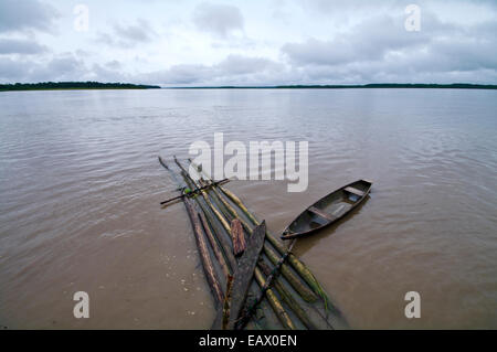 A wooden canoe moored to a pontoon of logs cut from the Amazon rainforest. Stock Photo