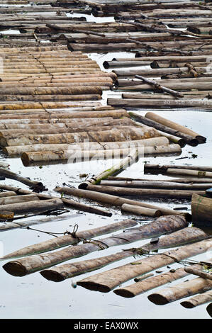 Logging Rivers Clogged The Amazon River choked with logs from rainforest trees waiting to be ...