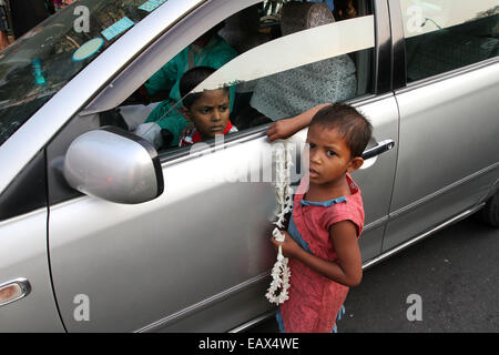 Dhaka November 2014. A child on the side of the road attempts to sell flowers to passing commuters in cars and buses. Stock Photo