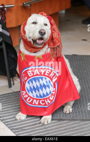 Bayern Muenchen presenting the trophy to the fans at Marienplatz after winning the DFB Cup Final match.  Featuring: Fans Where: Munich, Germany When: 18 May 2014 Stock Photo