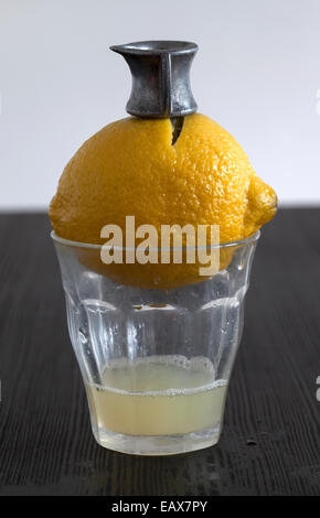 Lemon with Vintage Fruit Juice Extractor Stock Photo