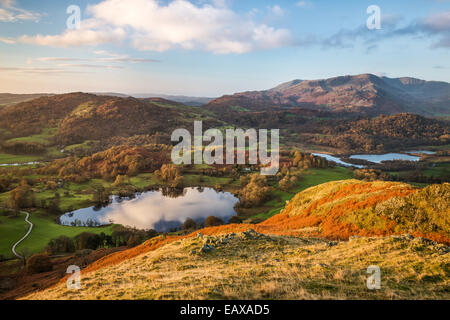 View across Loughrigg Tarn at sunrise from the summit of Loughrigg Fell, looking across Elter Water towards the Tilberthwaite Stock Photo