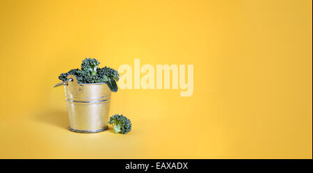Broccoli in a bucket on yellow background Stock Photo