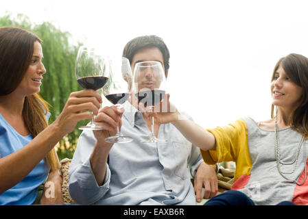 Friends clinking wine glasses Stock Photo