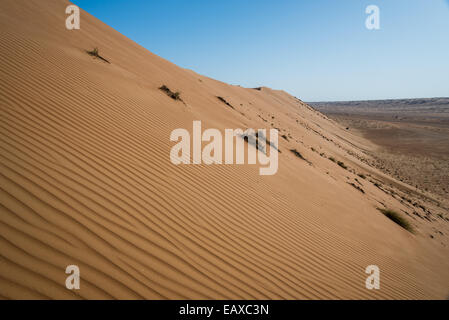 Delicate ripples on a sand dune in the desert of Oman. Stock Photo