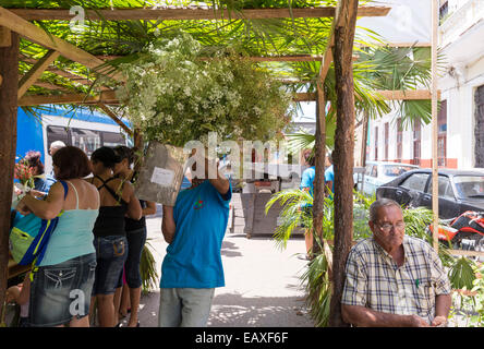 MATANZAS, CUBA - MAY 10, 2014: Lively street market of flowers and plants the day before Mother's Day. Mother's Day is celebrate Stock Photo