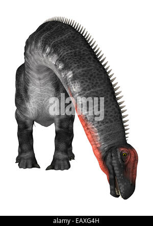 3D digital render of a dinosaur apatosaurus isolated on white background Stock Photo
