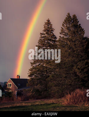 View of a rainbow after a rain storm over pine trees and rustic home in Maine. Stock Photo